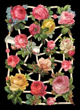7448 - Tea Rose Roses Flowers Bouquets