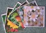 Small Square Cards 125 x 125 mm