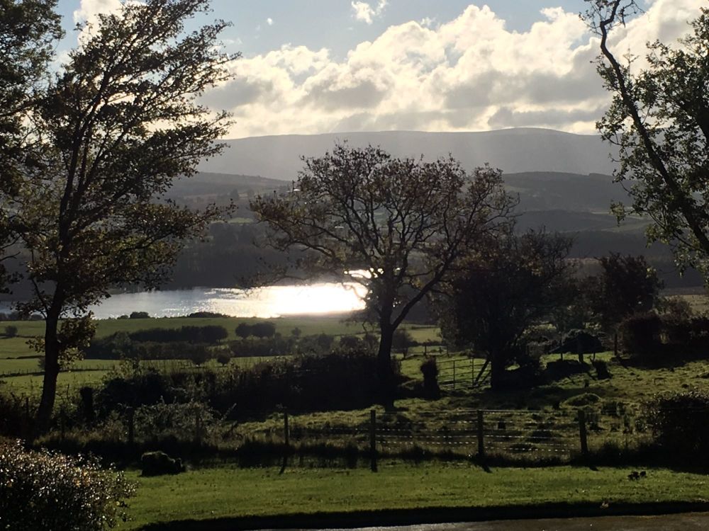 <!--11-->Lake View