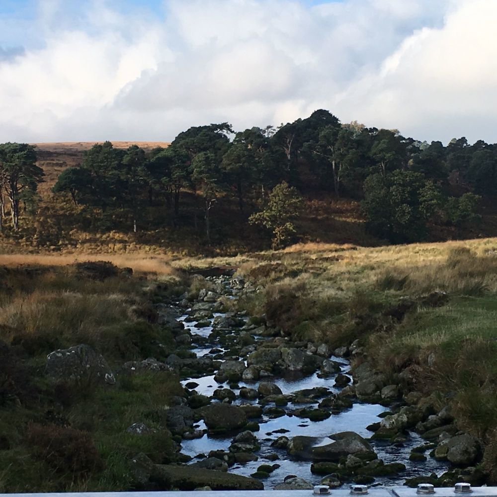 <!--29-->Rocky Stream