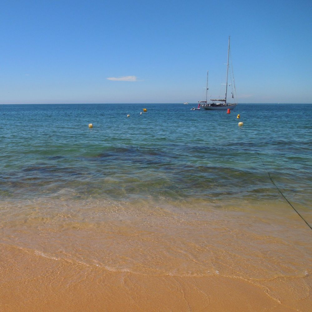 <!--34-->Summer Sea