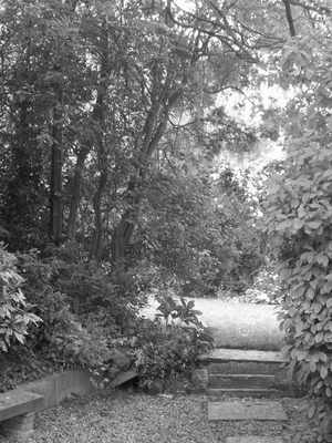 <!--01-->Country Garden
