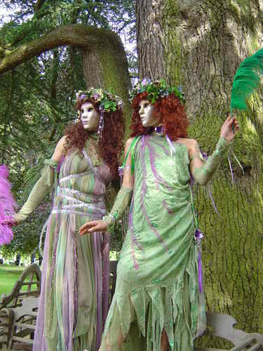 woodland fairies
