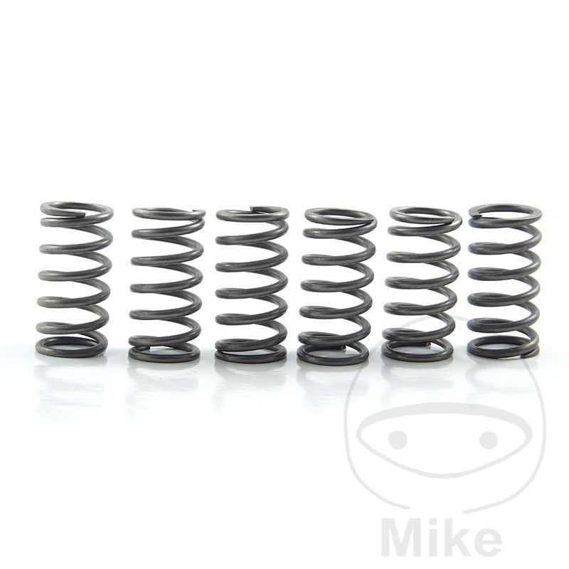 SPRING SET, CLUTCH, EBC HEAVY DUTY - GS1000, GT750, GT550, GT500, T500, RE5