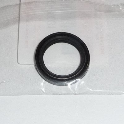 SEAL, OIL, KICKSTART LEVER - RG500, GS850, GS750