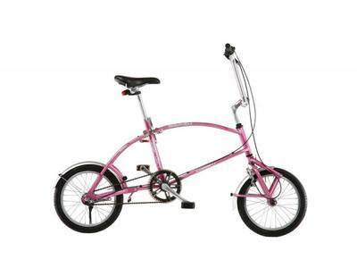 bigfish folding bike