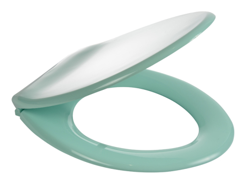 Turquoise Plastic Toilet seat with colour matched plastic hinge by Wirquin