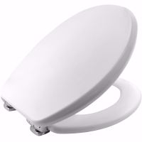 Bemis ASTI Moulded Wood Toilet Seat & Cover In White With Slow Close Hinges