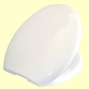 PP Simple Slow Close Toilet Seat by Euroshowers