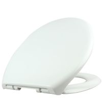 Euroshowers Opal WELL Soft Close White Duroplast Toilet Seat - 88110