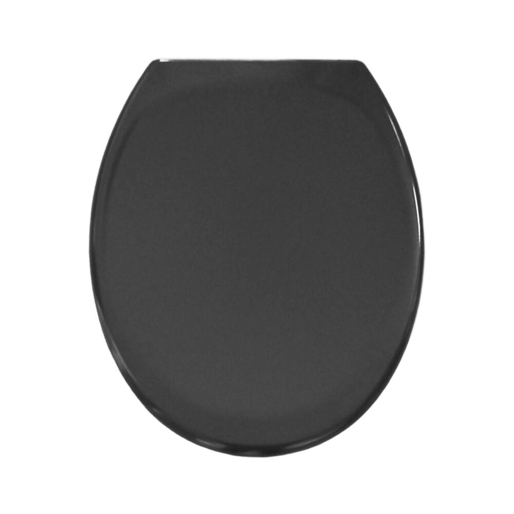 OPEN BOX - RTS Anthracite Soft Close Toilet Seat w/ Quick Release - 84336