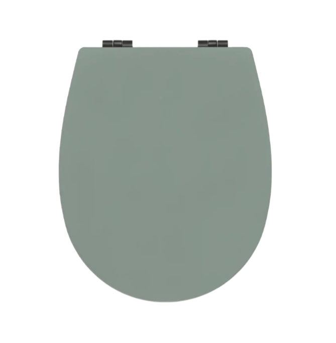 Bemis Hudson Ultra-Fix Matt Pistachio Toilet Seat - Pre Order for Del Aug 27th