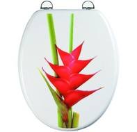 Grenadine Picture Moulded wood toilet seat with Chrome hinge.