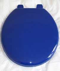 Marine Blue Tecnoplast Plastic Toilet seat by RTS