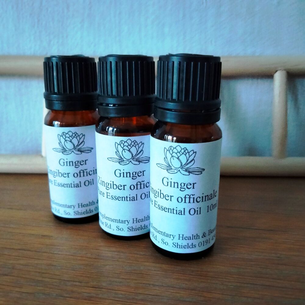 Ginger Essential Oil (10ml)