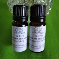 Tea Tree Essential oil  (10ml) 