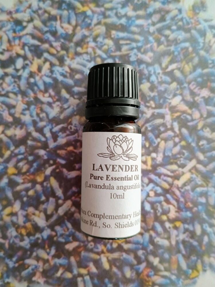 Lavender Essential Oil (10ml)