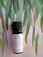 Eucalyptus Essential Oil  (10ml)  