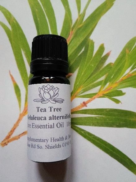 Tea Tree Essential oil  (10ml) 