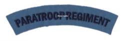 WW2 Paratroop Regiment  Shoulder Titles (Pair)