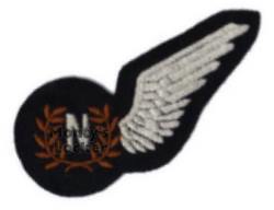 WW2 Navigator Half Brevet (Wing)