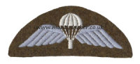 WW2 Para Wings (Semi-Circular Backing)