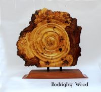 oak burr plaque (2)