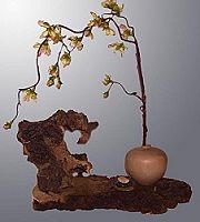ikebana pot and root.