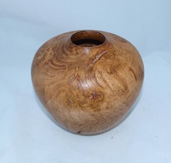 oak burr hollow form
