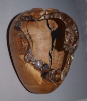 apple hollow form 5 (2)