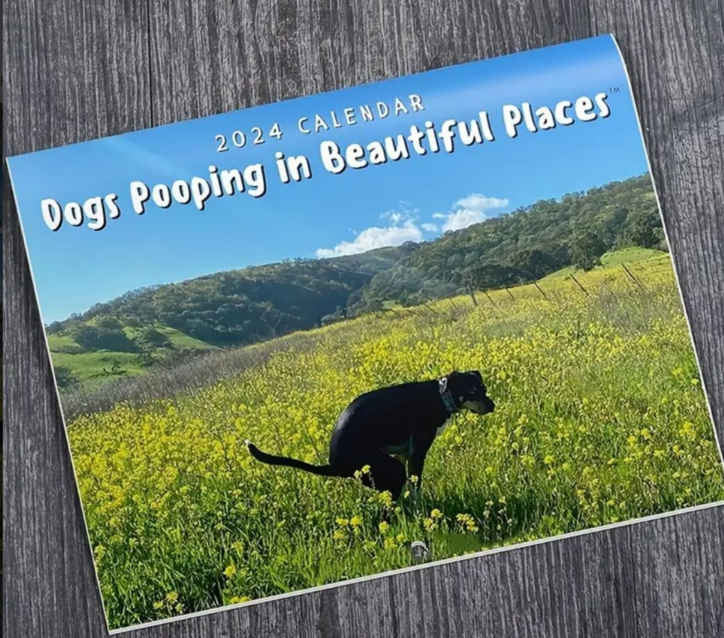 2024 Calendar - 11x8.5 inches Funny Dogs Pooping in Beautiful Places