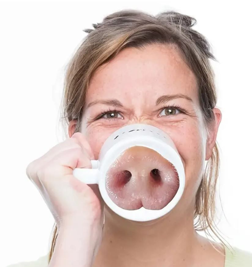 Realistic pig nose vinyl sticker - Funny Gag Gift, Crafts