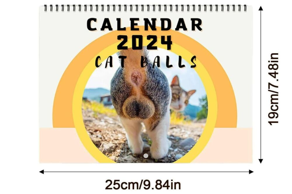 2024 Cat Balls Calendar - Very Funny