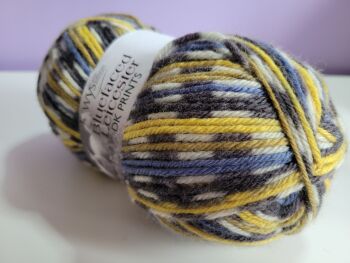 West Yorkshire Spinners Bluefaced Leicester DK Prints - 818