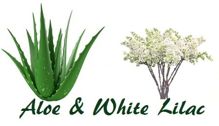Aloe & White Lilac  - Price from 