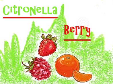 Citronella Berry   - Price from 