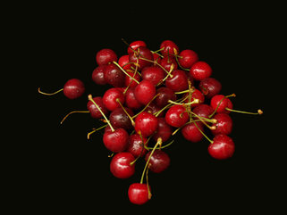 Black Cherry Explosion - Price from 