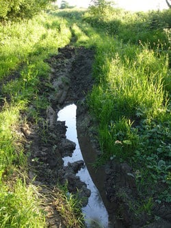 damage to Green lane