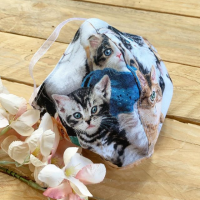 Cats & kittens 100%  cotton Face mask with filter pocket