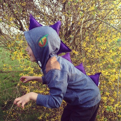Dinosaur Hoodies ANY colour