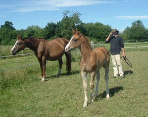 Arnie and mum in field