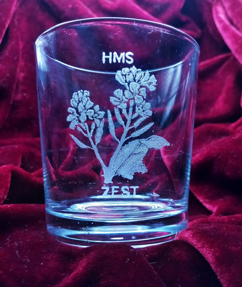 A. Royal Navy ships badge on discontinued mixer glass HMS Zest