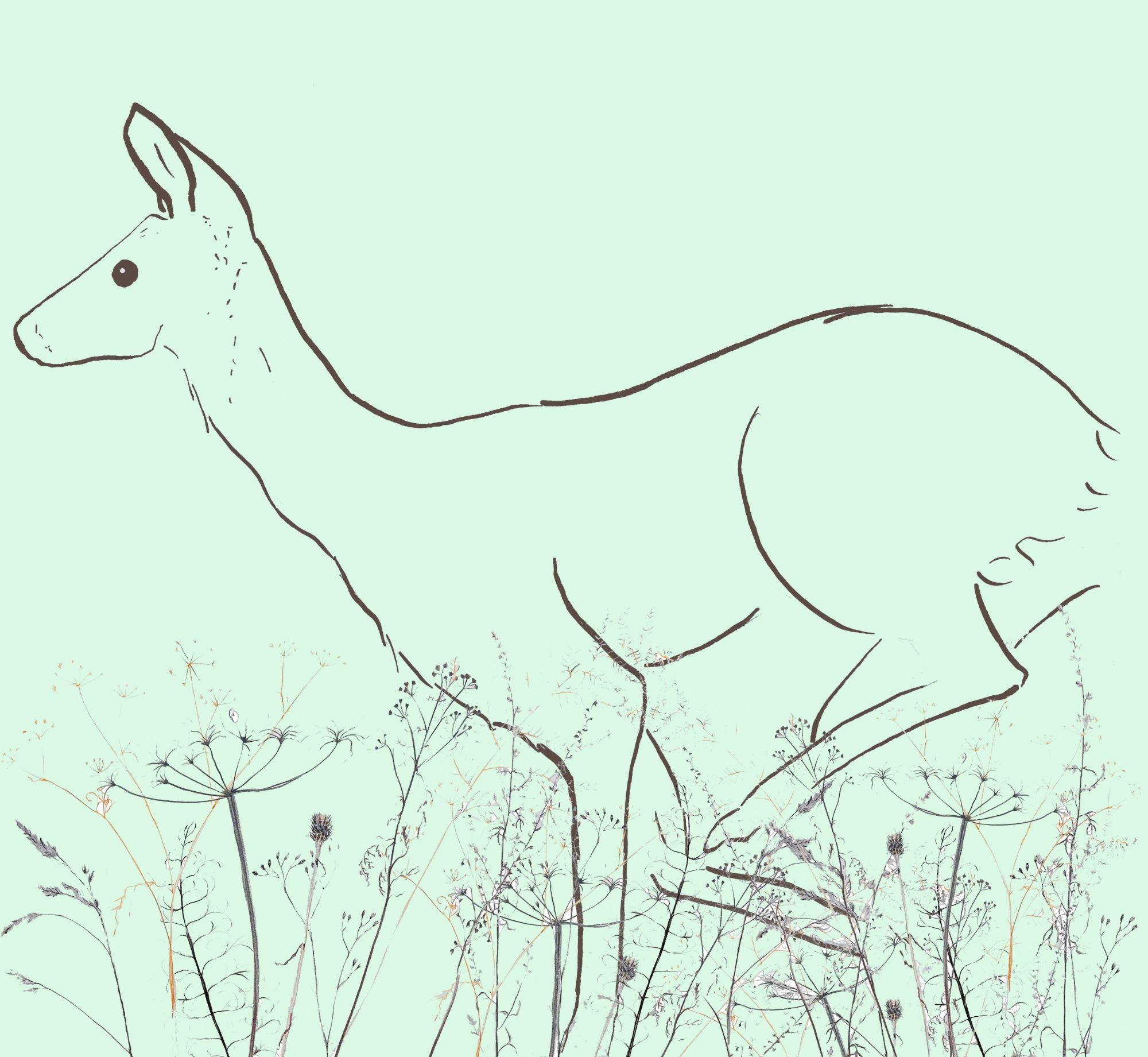 deer leap