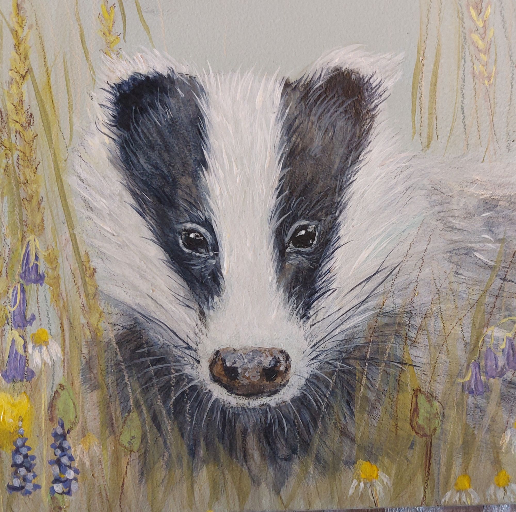 badger