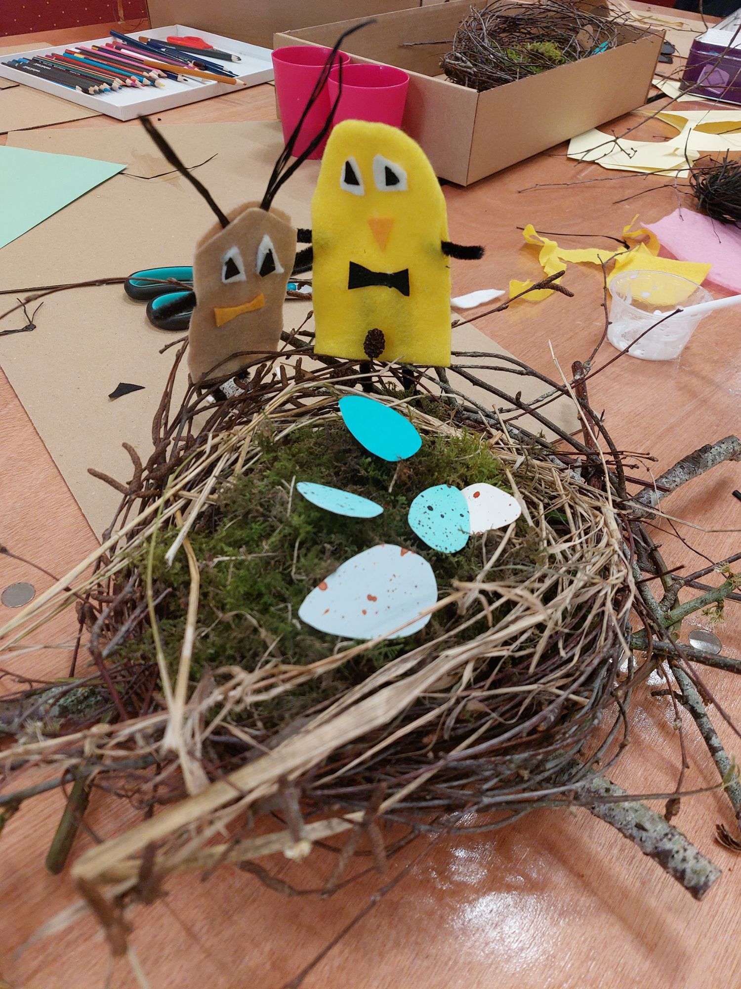 birds nest