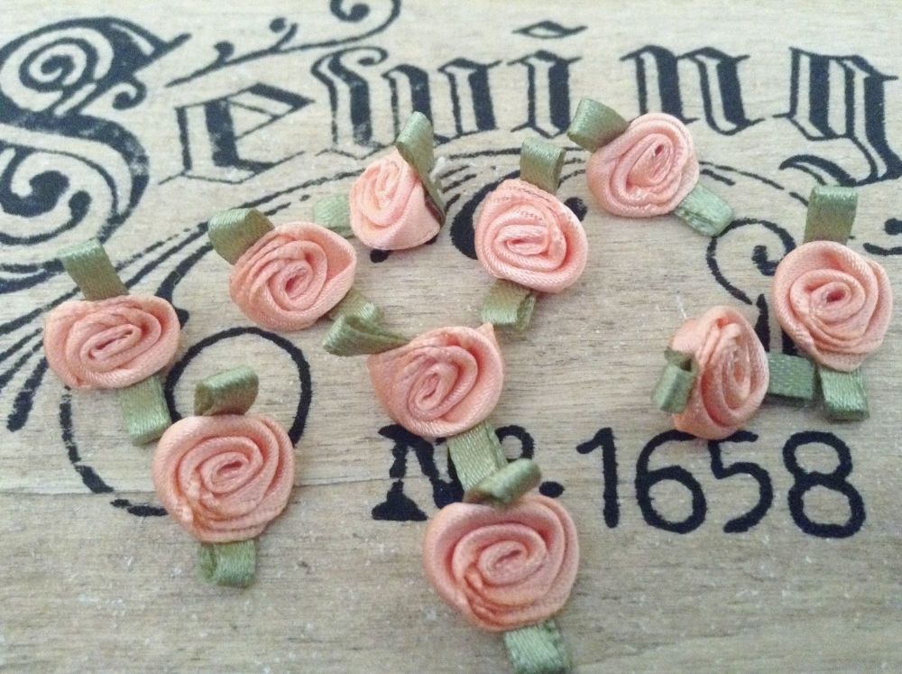 Light Peach Satin Ribbon Roses With Green Leaves