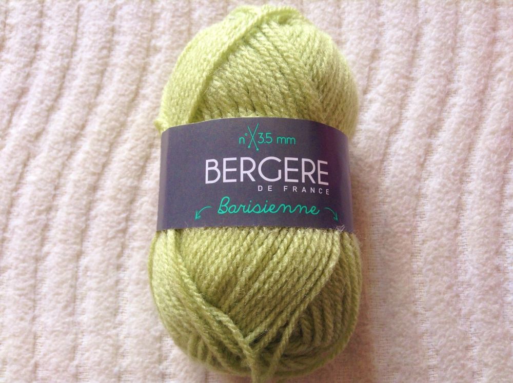 Bergere de France Barisienne Knitting Wool  Nil Green