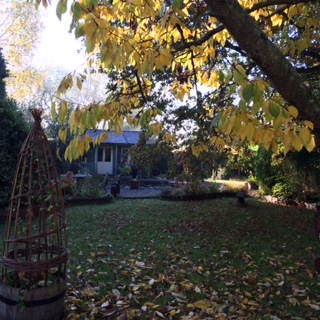 basketry study days - studio outside