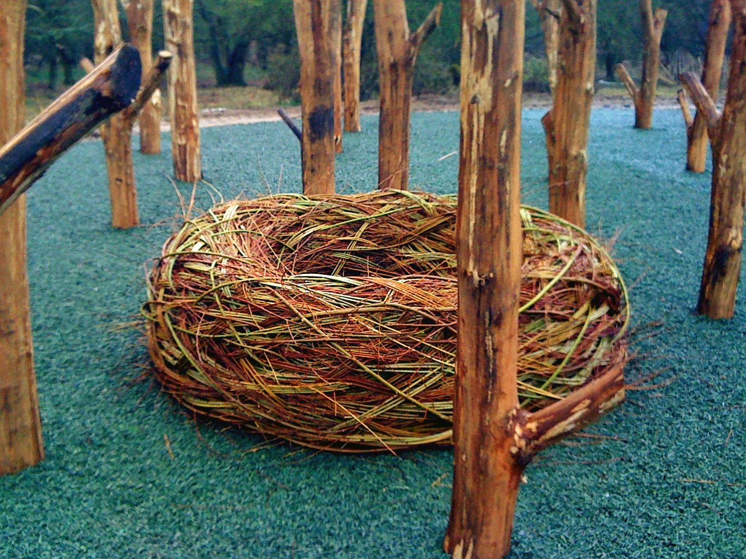 Nest for Minsmere Nature Reserve