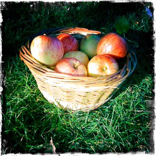 Small round basket with apples2 Small round basket with apples2